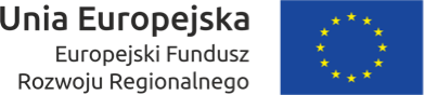 Logo Europejskiego Funduszu Rozwoju Regionalnego